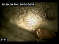 WO 99737683 - CLEARWATER FL 509628