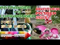 Download Lagu Patranger vs lupinranger another patren 2gou sub indo