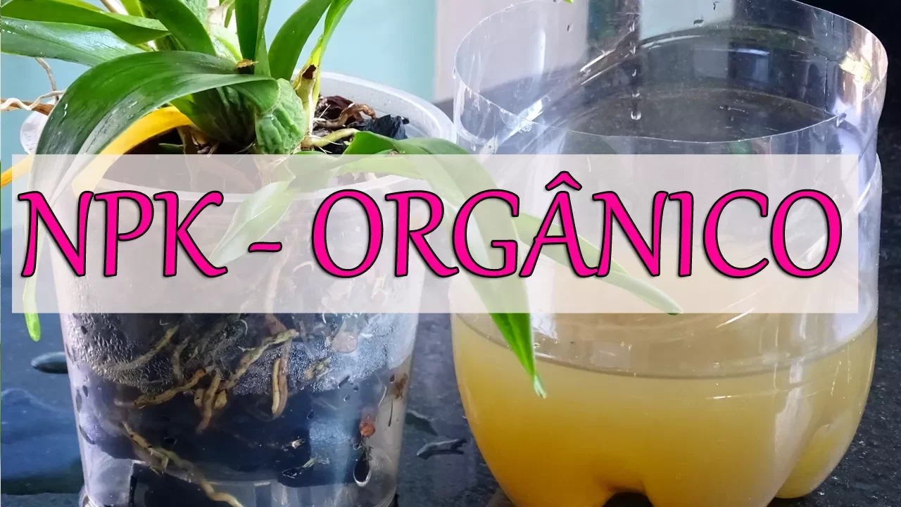 COMO FAZER NPK ORGÂNICO PARA ADUBAÇÃO DAS ORQUÍDEAS