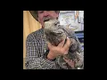 Jungle Bob s Reptile World - Store of the Month April 2021