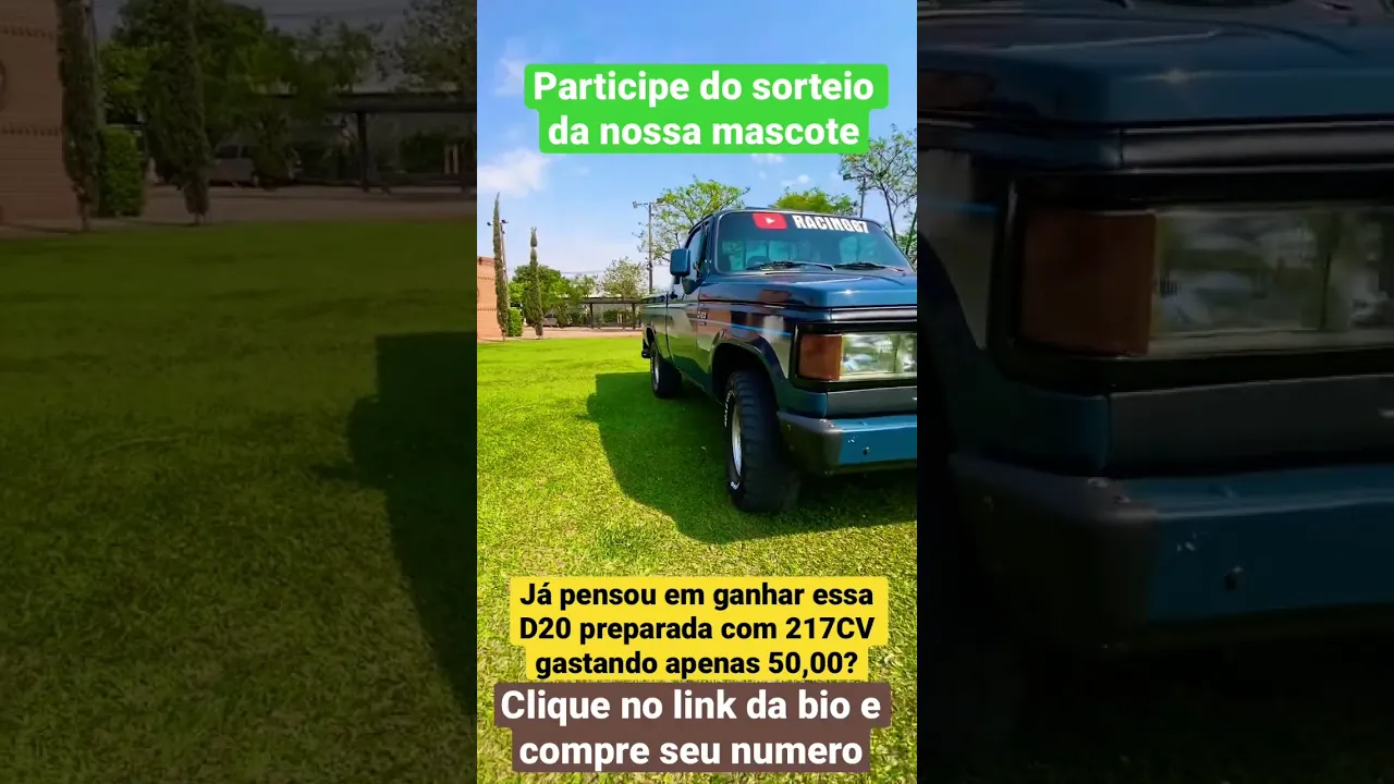 D20 com 217 CAVALOS.          Link do sorteio na bio! Compre seu numero