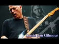 Download Lagu Best of David Gilmour Guitar Solos - Soulful Melodies