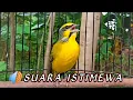 Download Lagu MOZAMBIK GACOR SUARA MEWAH UNTUK MASTERAN