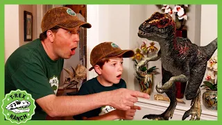 Baby Dinosaur In Our House! Classic DINO Special | 40 Mins | 🦖🦕 T-Rex Ranch Dinosaur Videos