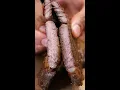 Do You Like Your Steak WELL-DONE