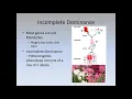 Ch 9-Inheritance intro