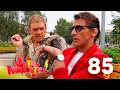 Download Lagu Даешь молодежь! | Выпуск 85
