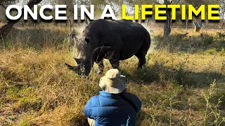 I Went on My First African Safari and I Loved It