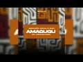 Download Lagu Acidicloopz, InQfive, DJ DIHNO feat.Salga - Amagugu