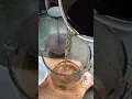 Download Lagu Making Artist’s Conk Tea (Ganoderma sp.) #forage #survive #fungi