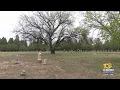 Historians discover unmarked mass grave in Pueblo dating back to early 20th century