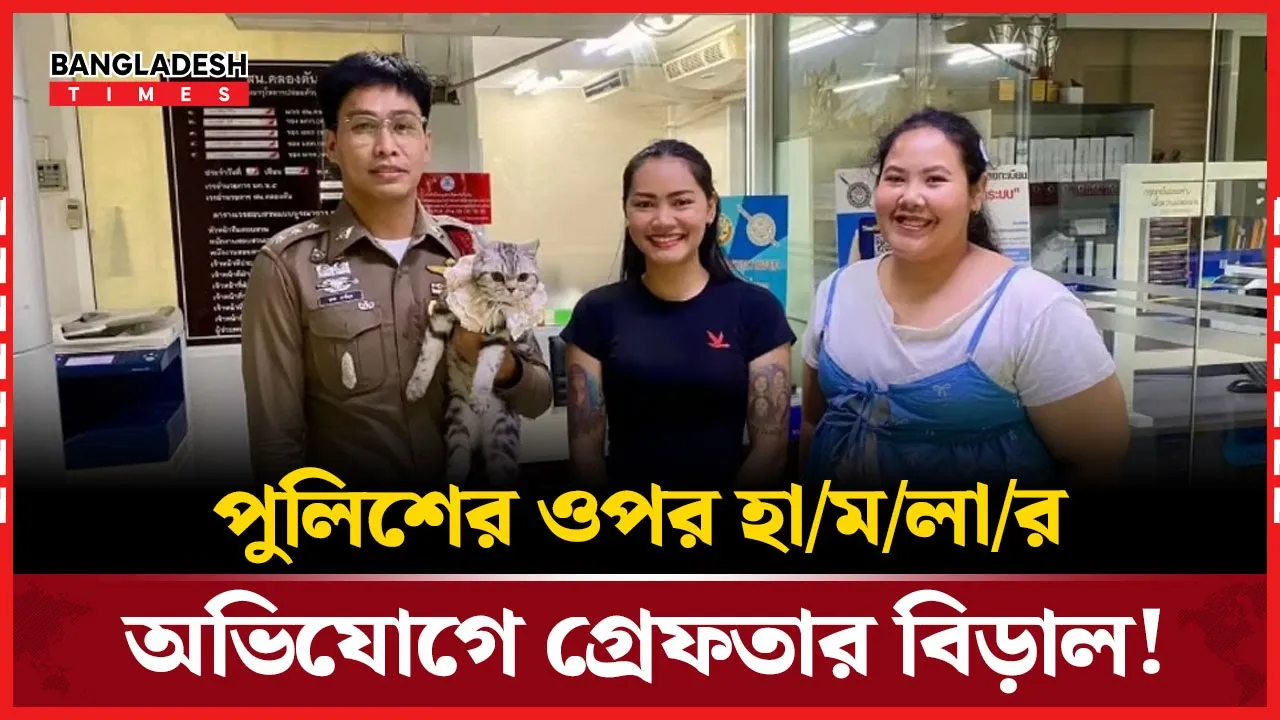 থাইল্যান্ডে বিড়াল গ্রেফতার!