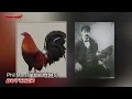 Rooster Channel I History of BUTCHER