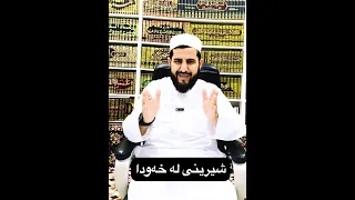 شیرینی لە خەودا  شیرینی لە خەودا
