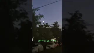 Shortvideo سبحان الذي لا تطيب الدنيا ألا بذكره ولاتطيب الأخرة ألا بعفوه صباح الخير اكسبلور 