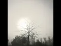 Peter Gregson - Warmth