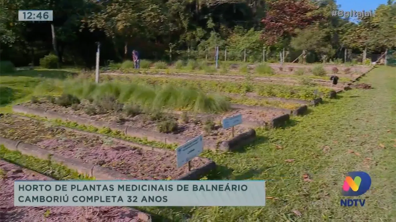 Horto de plantas medicinais de Balneário Camboriú completa 32 anos