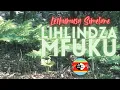 Lagu LIHLINDZAMFUKU (HAPPY BOXING DAY) - Tinshumayelo Tesintfu