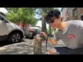 Day in the Life of an NYC Dogwalker Noisy City Episode 3