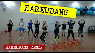 Download HAREUDANG - HAREUDANG REMIX TIK TOK ZUMBA MP3