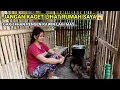 Download Lagu JANGAN KAGET! SAYA JANDA KORBAN LELAKI BEJAT HIDUP SENDIRIAN DI RUMAH PINGGIR HUTAN