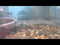 Trip to Wet pets Dothan al