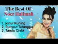 Download Lagu Noer Halimah - Janur Kuning - Rumput Tetangga - Tanda Cinta