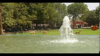 موسيقى ماضي الذكريات رحت فين حالك نسيتني واعتبرت الماضي فات لم انت خلاص جفيتني ليه بتحكي الذكريات 