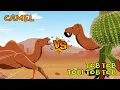 Download Lagu Camel vs Tob Tob Tobi Tob Tob  | Animals vs Brainrot Animals [S1] | Animal Animation