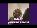 Download Lagu Molly (Guitar Remix)