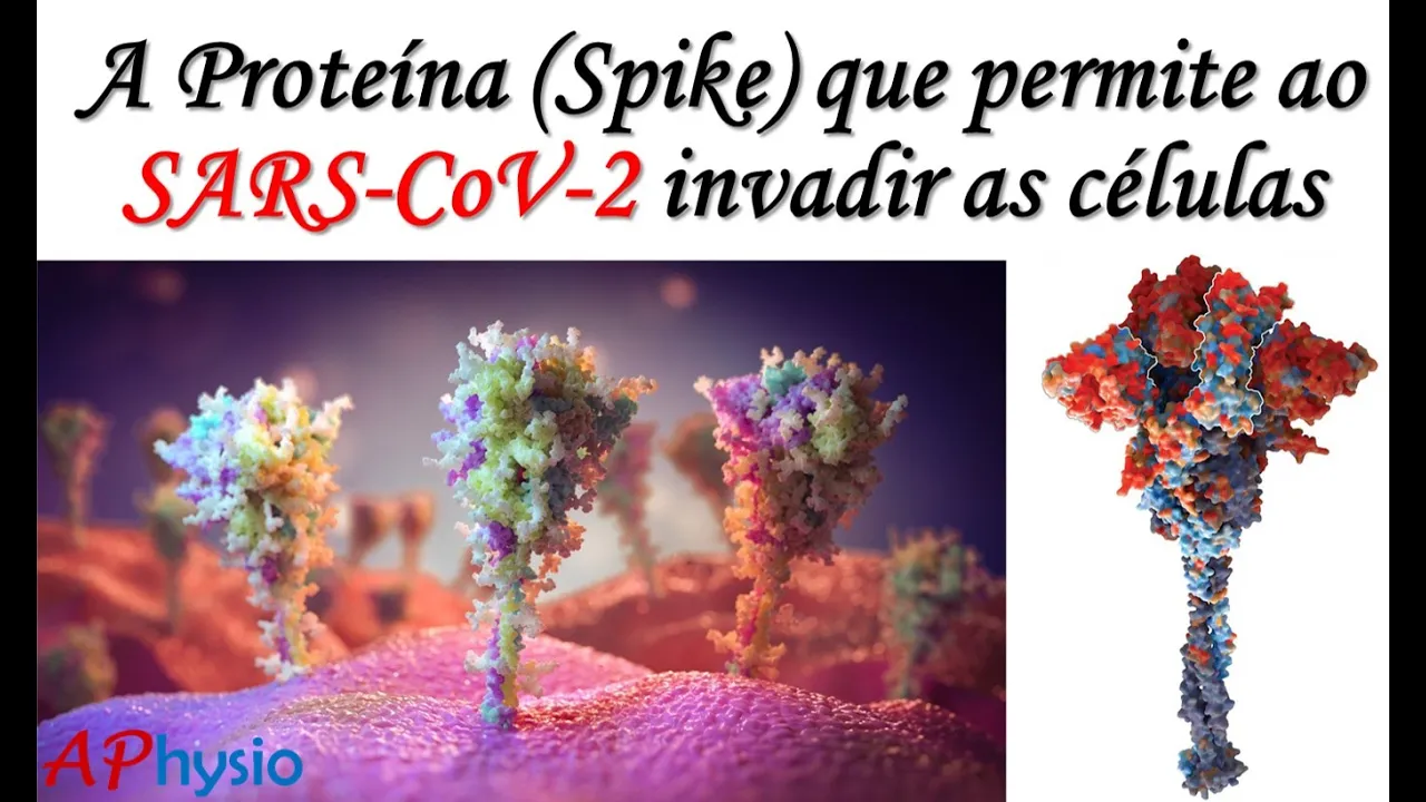 Estrutura e Função da Proteína S (Spike) do SARS-CoV-2