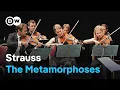 Download Lagu Richard Strauss: The Metamorphoses | Renaud Capuçon \u0026 Strings of the Bel Air Festival Orchestra