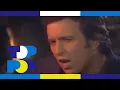 Download Lagu Don McLean - Crying • TopPop