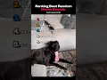 Ranking Best Random Meme Sounds