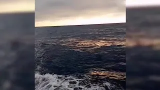 بلاد نصارى سافر بلا رجوع 