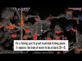 Guide Voodoo Fish Pond - How to Make