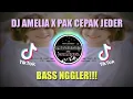 Download Lagu DJ AMELIA X PAK CEPAK JEDER || BASS NGGLER!!! VIRAL 2021
