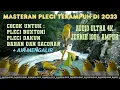 Download Lagu terbaru di 2023! Masteran Pleci super ampuh, Bikin semua pleci yang mendengar audio ini megap-megap