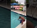 LEARN TO DIVE IN THE POOL