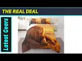 Feelyou 3D Lion Comforter Wild King Bedding That Roars