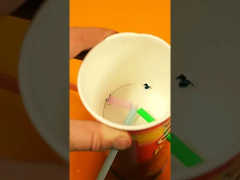 Нереальный лайфхак с банкой pringles на Новый 2025 год