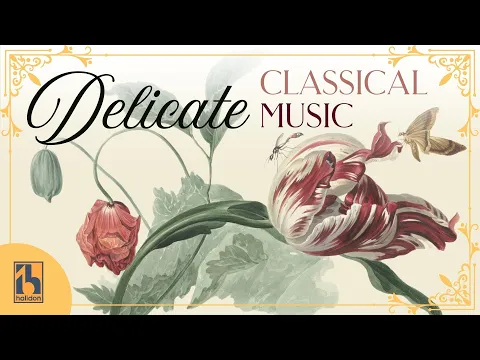 Delicate Classical Music | the Gentlest and Most Exquisite Masterpieces of All Time