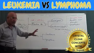 difference between leukemia vs lymphoma 