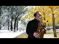 Download Lagu Алсу - Зимний сон ( cover by Amigoiga sax )