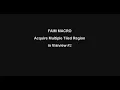 FAIM multiple tiled region acquisitions in VisiView