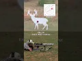 308 Winchester - Ethical Hunter Challenge 8 3
