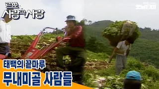 [사람과사람] 태백의 끝마루 무내미골 사람들 | 19870817 KBS방송
