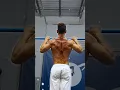Calisthenics Christmas Tree Back Muscles