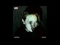 SIERRA VEINS - GONE