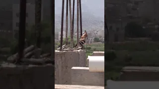 صوت الهدهد من اليمن Hoopoe Sound 